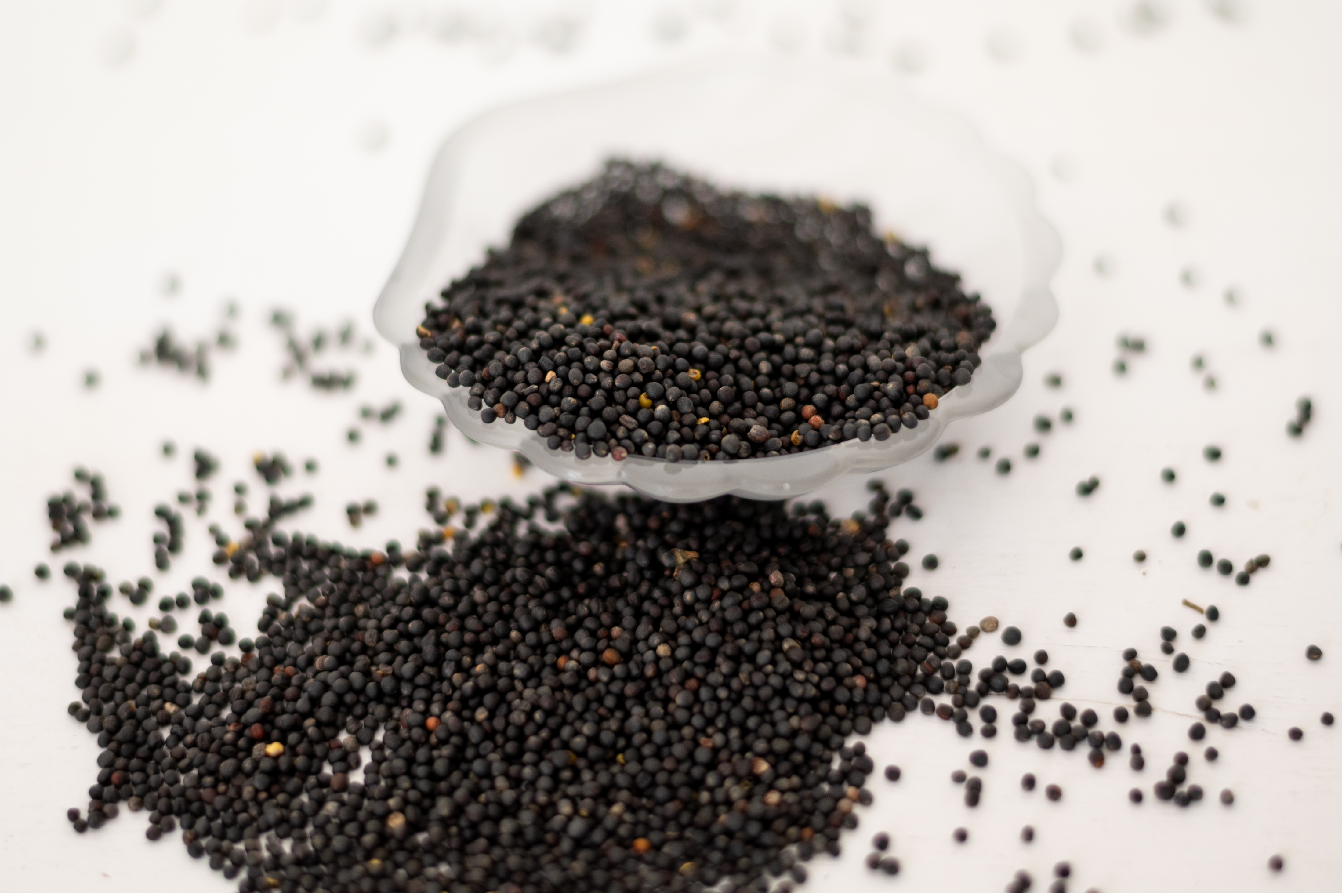 10 Große Klassiker mit Rapssamenfüllung *ANGEBOT*