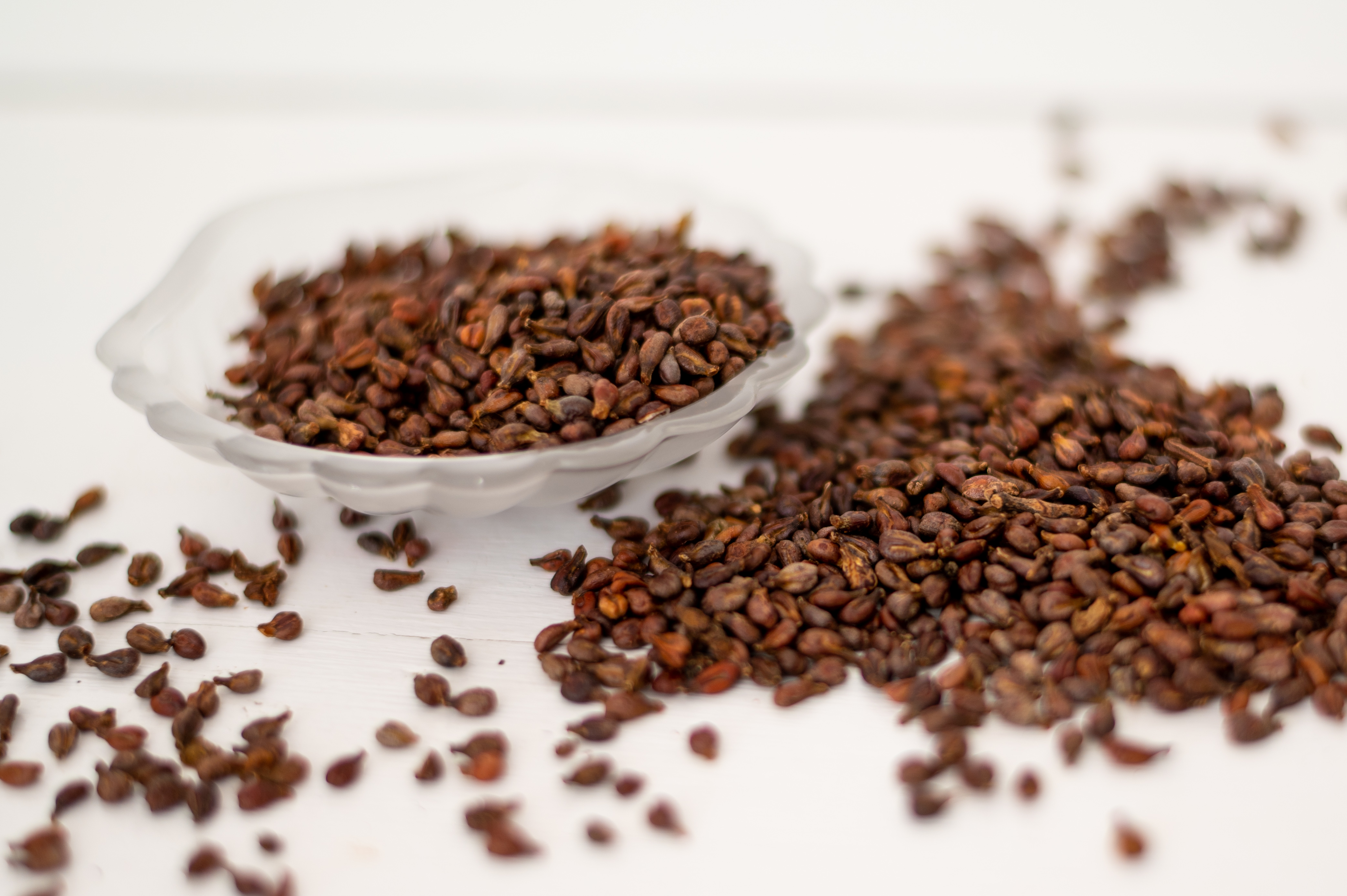 Traubenkerne in Premium-Qualität 1 kg