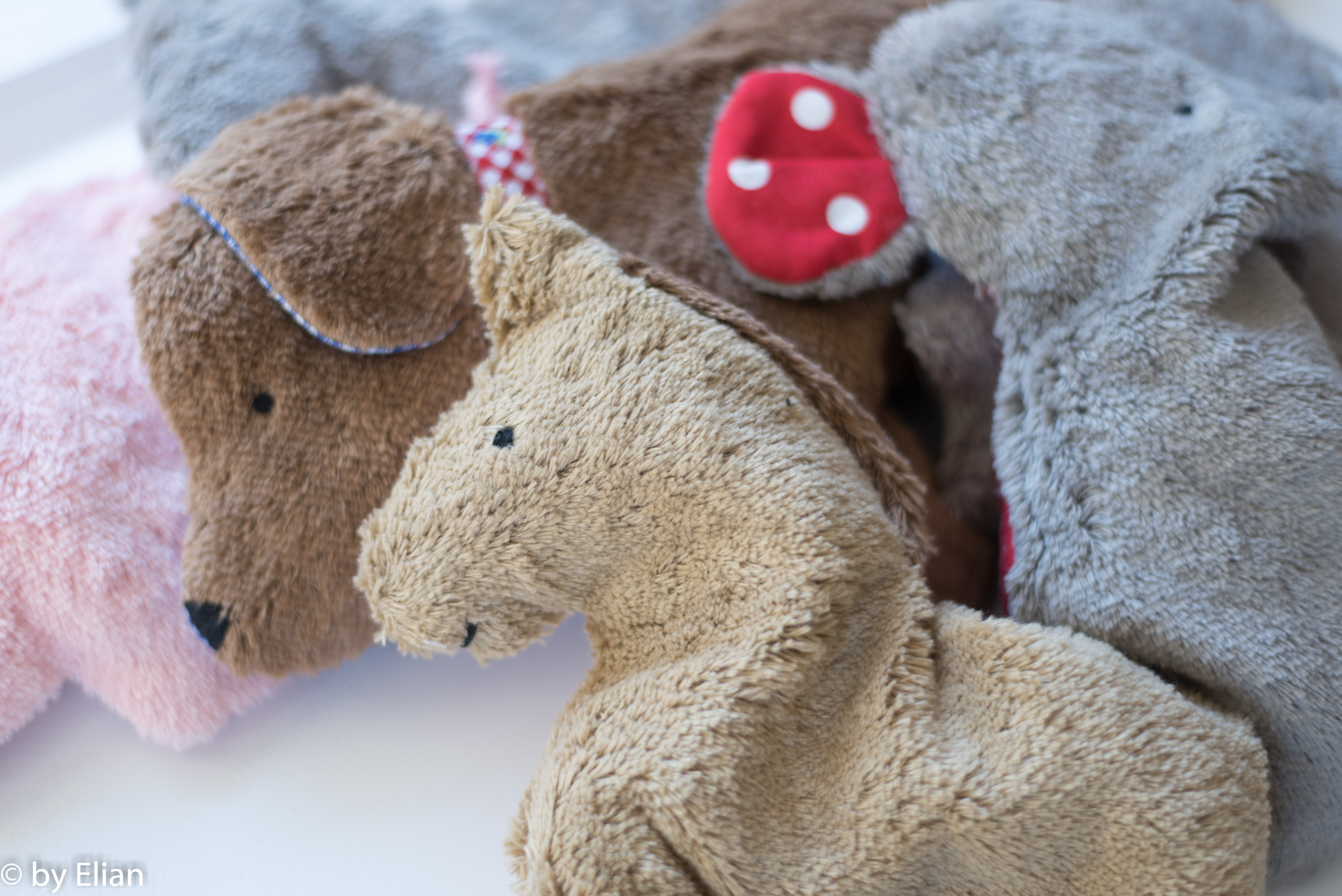 Bauernhof Paket inkl. 5% Rabatt (mit Aufsteller)