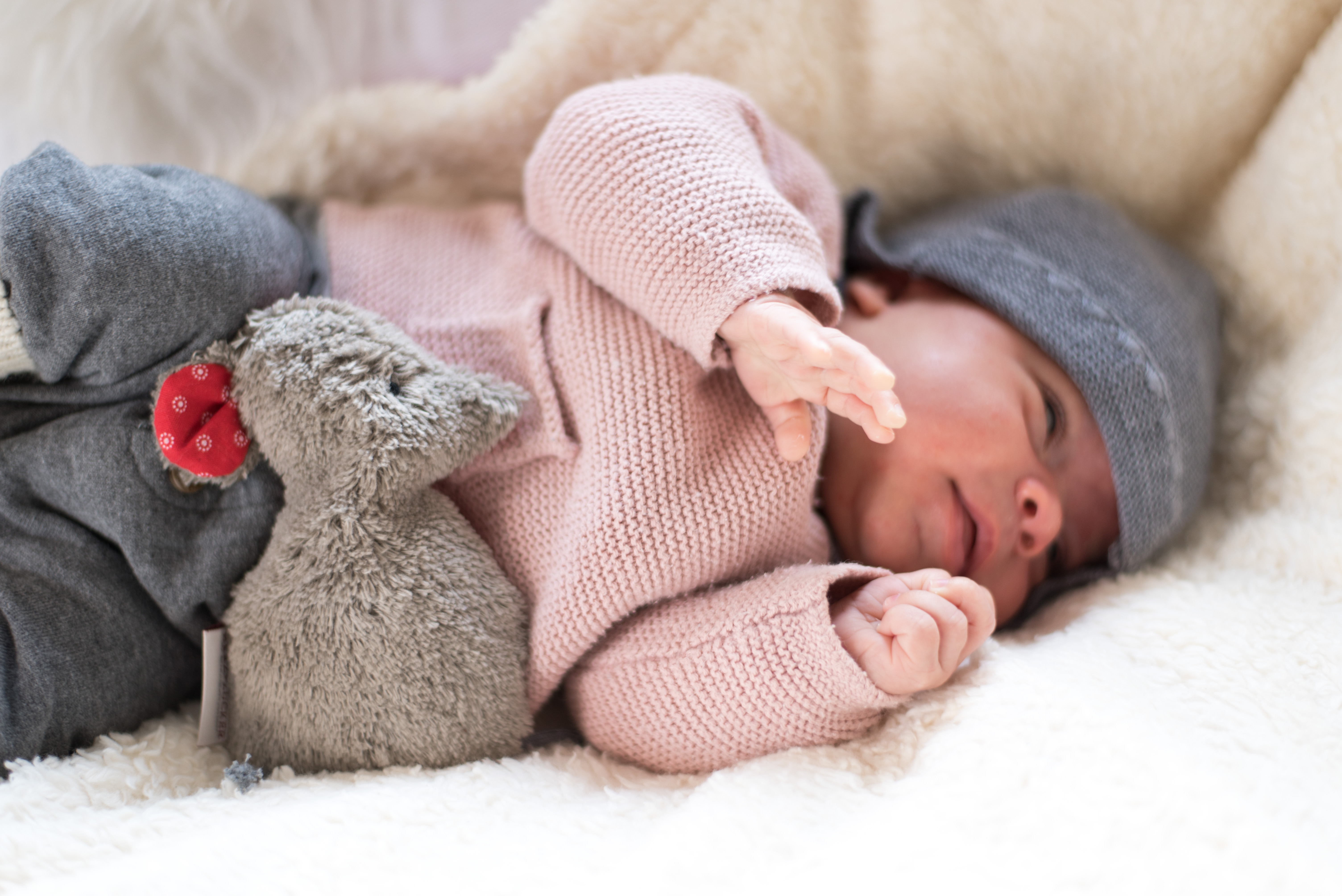 Babykissen Lina die Maus mit Traubenkernfüllung - Bio Plüsch