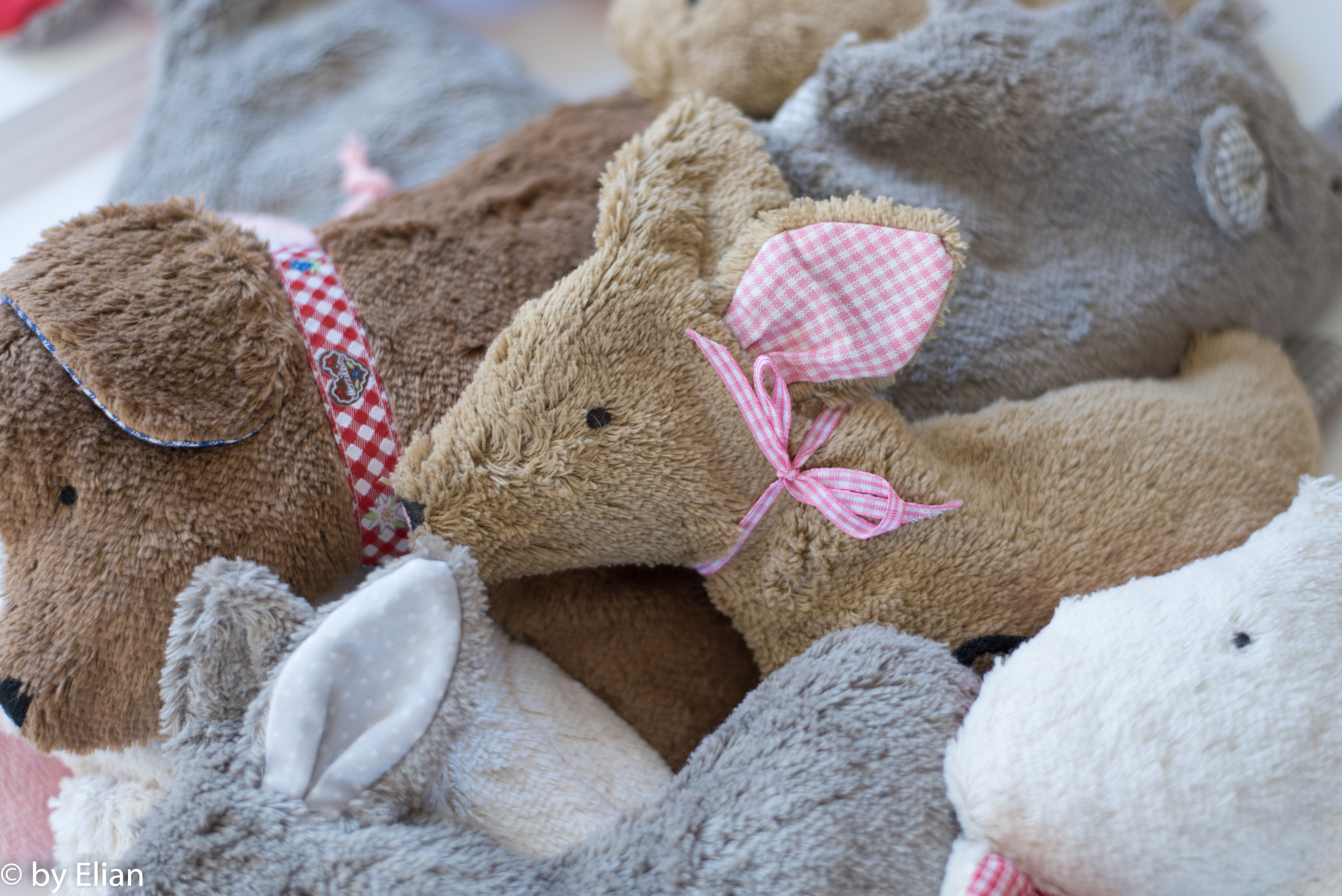 Tiermotiv Paket inkl. 5% Rabatt (mit Aufsteller)