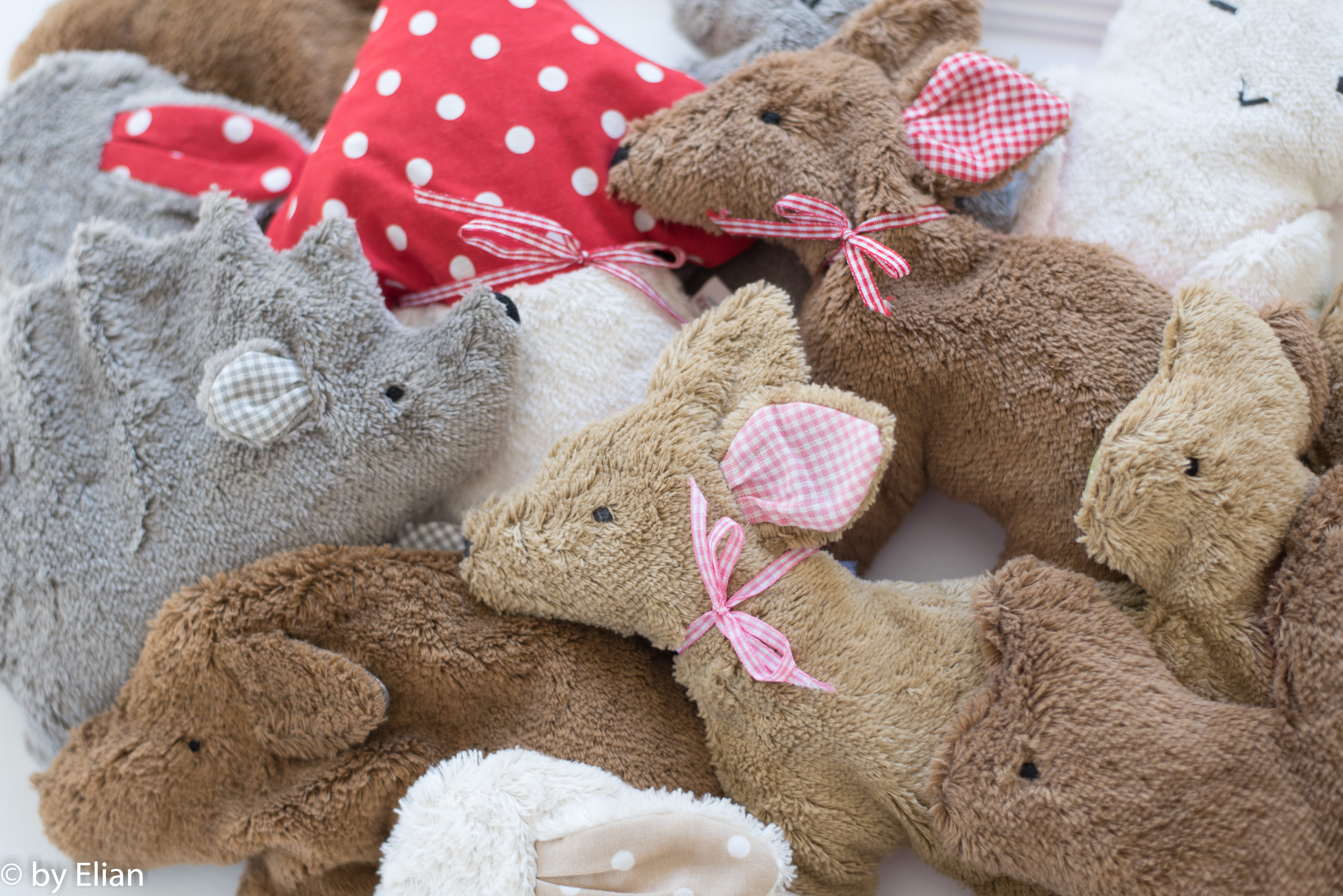 Waldtiere Paket inkl. 5% Rabatt (mit Aufsteller)