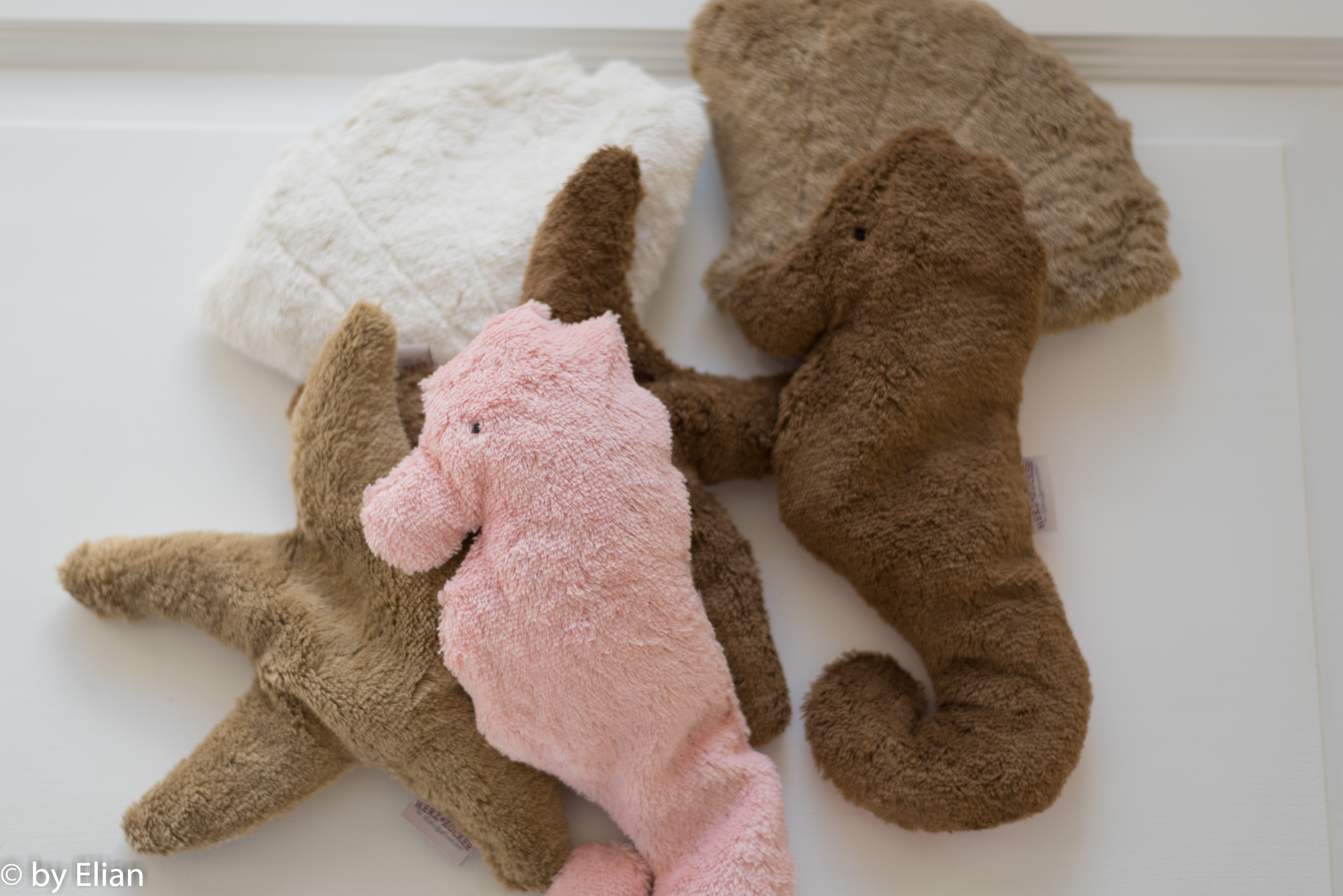 Meerestiere Paket inkl. 5% Rabatt inkl. Körbchen